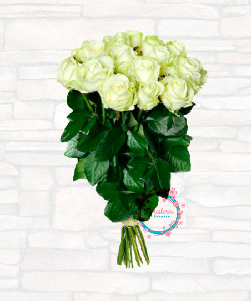 Ramo de rosas blancas